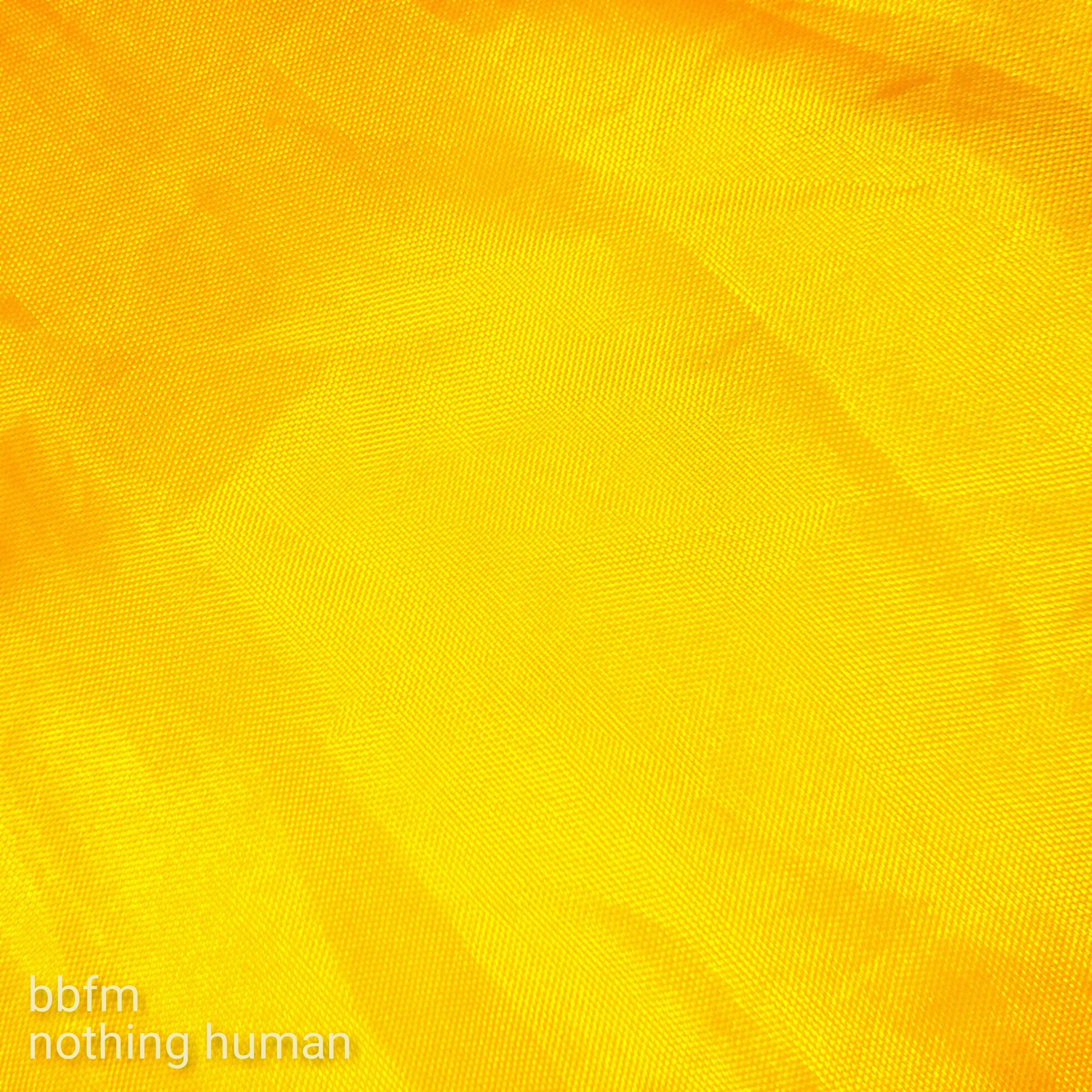 Cover art for the EP Nothing Human by The Blueberry Funkmuffins